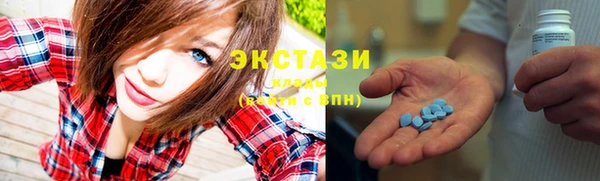гидра Богданович