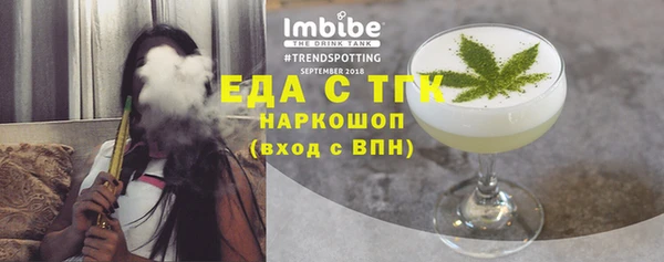 гидра Богданович