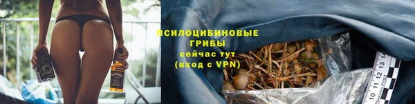соль ск Богородицк