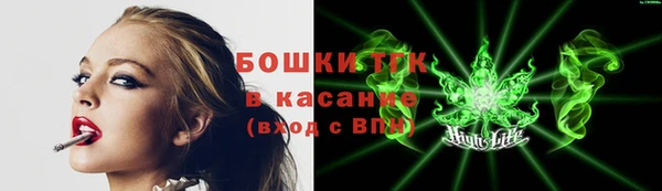 ECSTASY Богородск