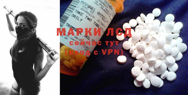 гидра Богданович