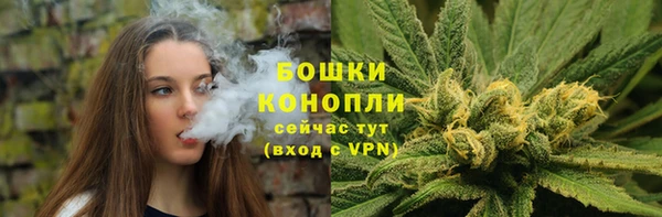 ECSTASY Богородск