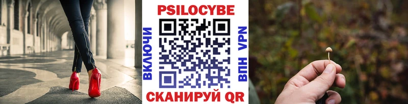 Купить закладки  Волхов  Галлюциногенные грибы прущие грибы 